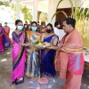 Pongal festival of Alayadivembu Divisional Secretariat-2021